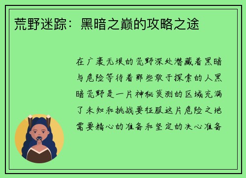 荒野迷踪：黑暗之巅的攻略之途