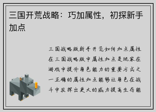 三国开荒战略：巧加属性，初探新手加点