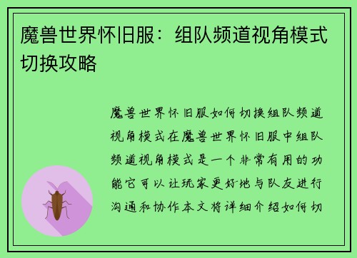 魔兽世界怀旧服：组队频道视角模式切换攻略